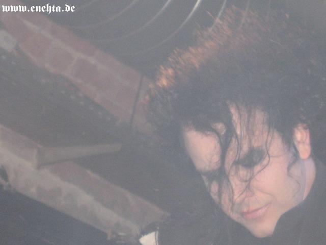 Lame Immotrelle vom 20.02.2008-022.jpg